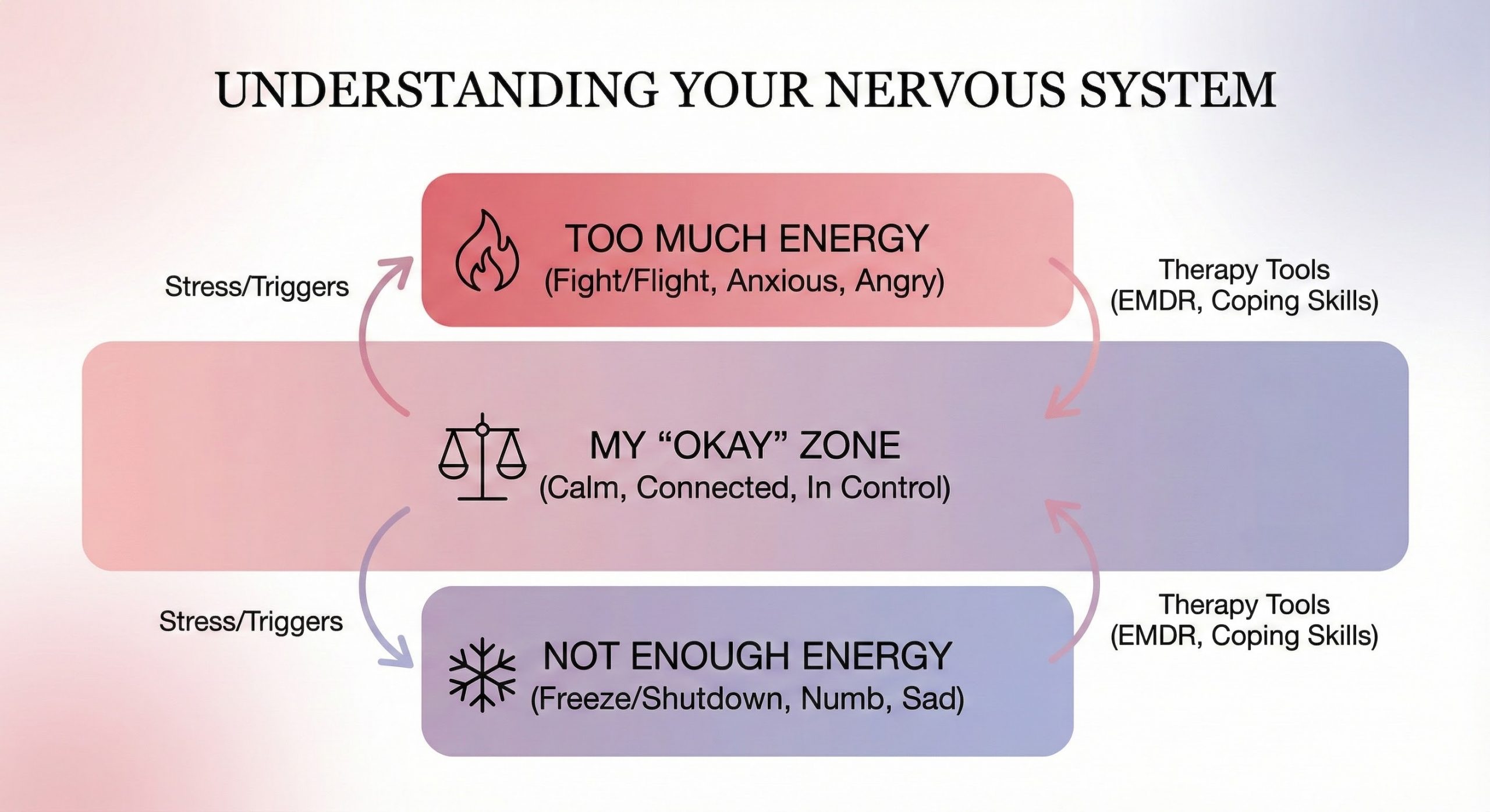 Understanding Your Nervous System Infographic for Teens