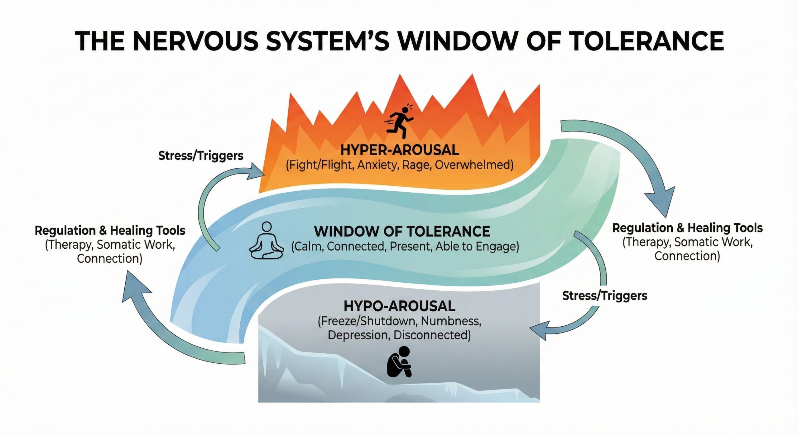 Nervous System Window of Tolerance Diagram